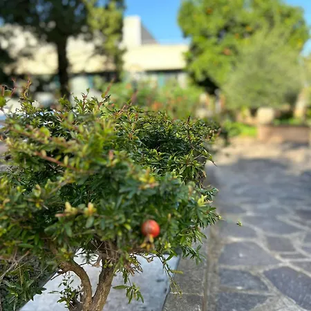 Lux Of The Vatican מלון דירות