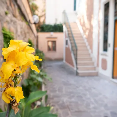 Lux Of The Vatican מלון דירות רומא